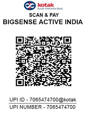 UPI QR Code